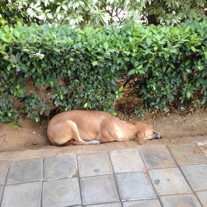 838ede86 456b 422e b1fa d6f9673987a9