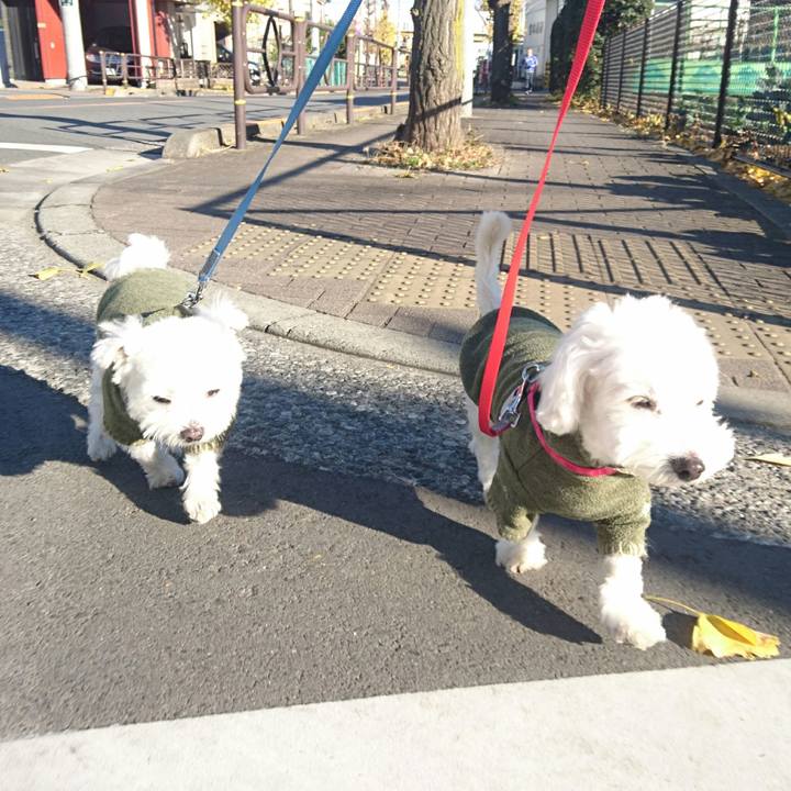 838f42d9 89e6 4e44 846d 773293b2b729