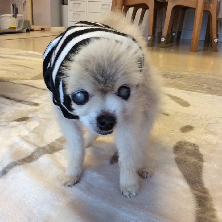 838f7977 1245 4b60 aecb e4d723b02385