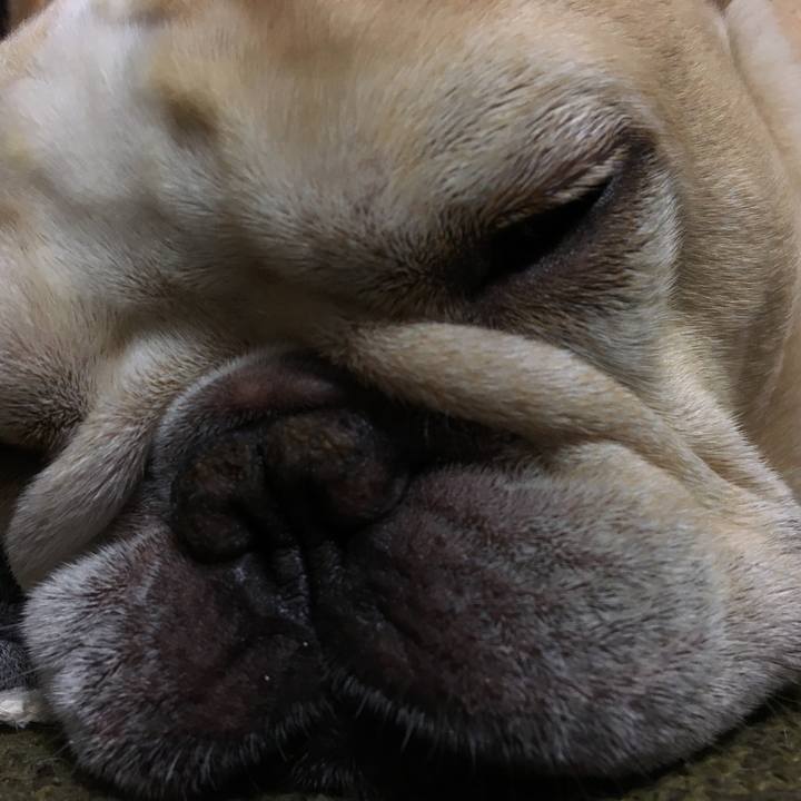 83905838 31fc 4813 946f 1026b1486b68