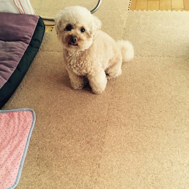 8390634f f846 48cc a7bc e9c6c3b7b854