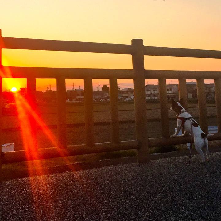 83909f45 a4e0 442f b26a 9f70e7e71e09