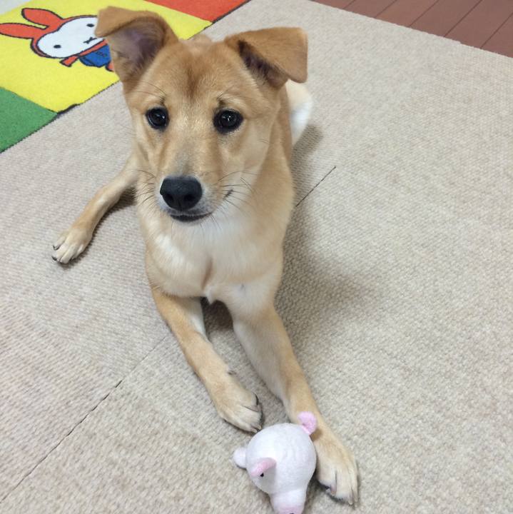 8390ebd4 51f6 436e 808b 28aab26ae69e