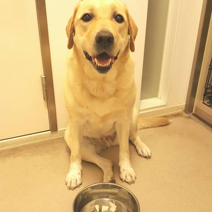 839171e8 cb6b 4c9e a934 5fbbf3fc1ae0