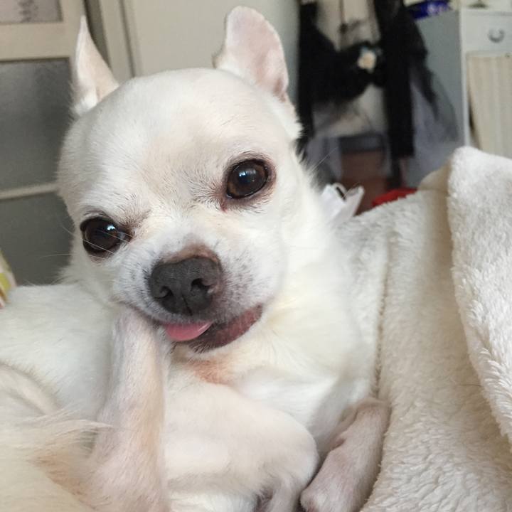 8391a888 220c 4521 88e7 141d21b85353