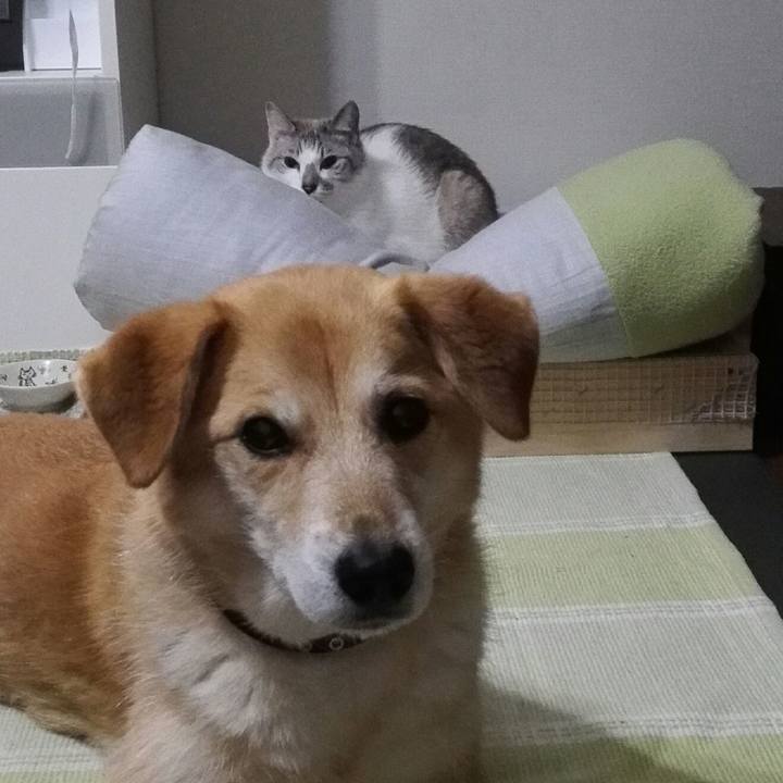 8392393e d418 477d 83a8 0ce342eea2ff