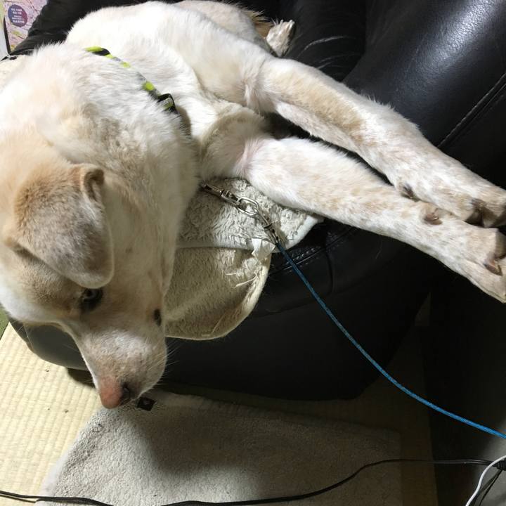 8394edac 5123 4842 bbde f7f1e4ddee8b