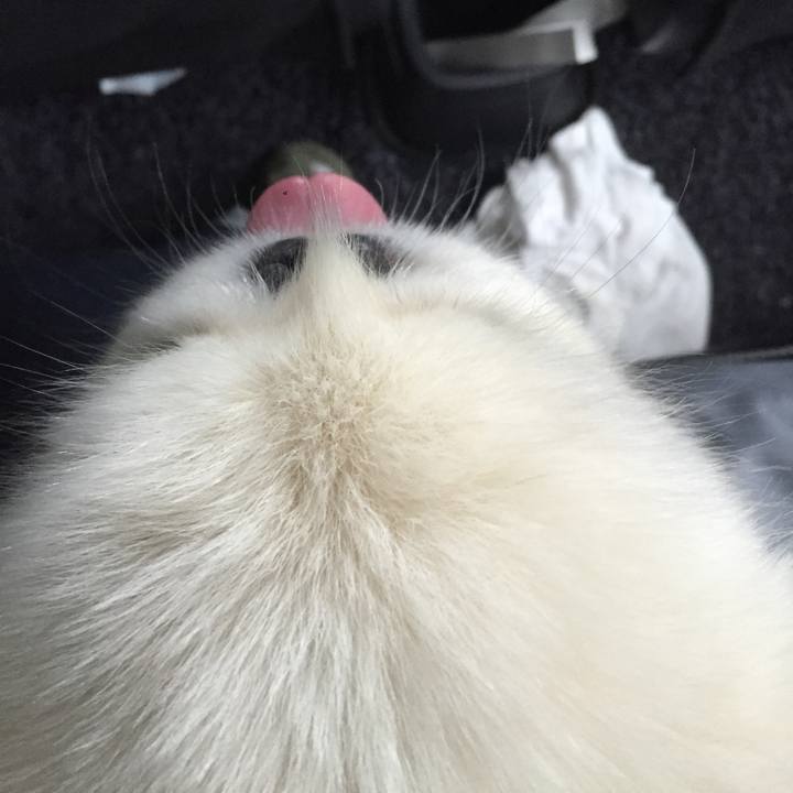 8394f900 b9b1 4a7f 8c8f b4d4debd1643