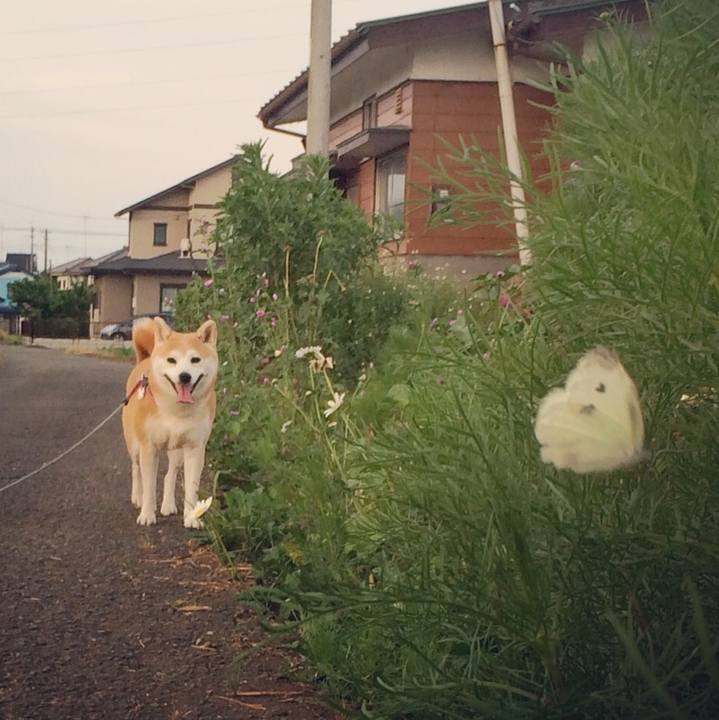 839592b7 bdc9 4ad7 9c55 c30d008e60ab