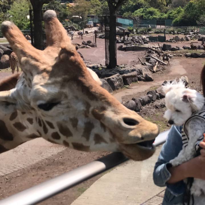 8395e4ed 7291 47ee 8ce1 9e67660083bb