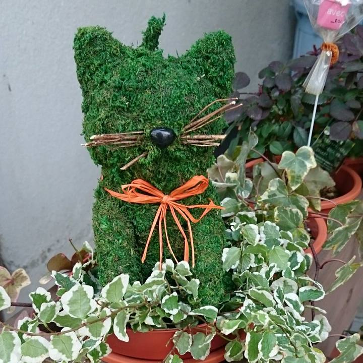 8396958f 9b4e 48de b681 983962249b03