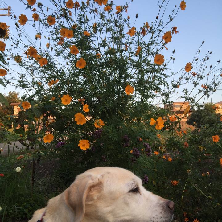 8396eb2f e1bd 4030 93da d1ca81b64f2b