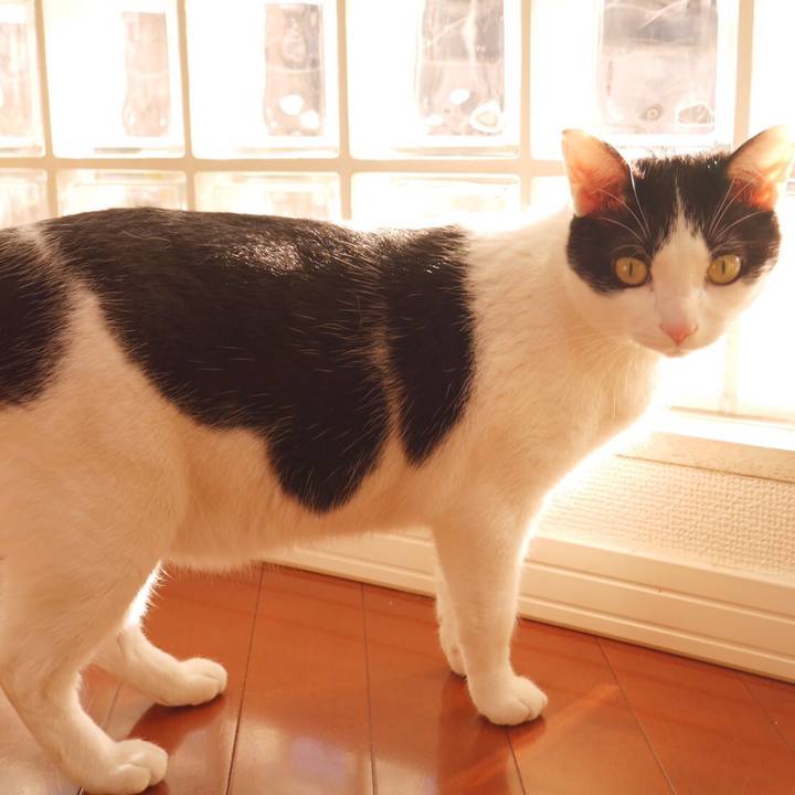 83972fa4 75cb 4171 8c8a 4e755820057f