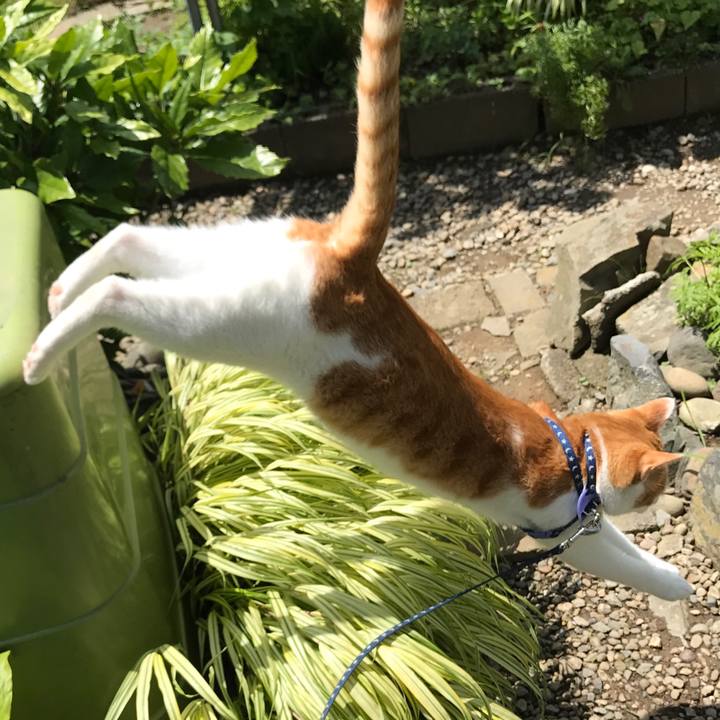 8397ac74 7c45 4b39 a061 5c77090847dd