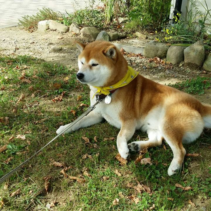 8397be52 b253 44f8 95a8 c2538ca73bf3