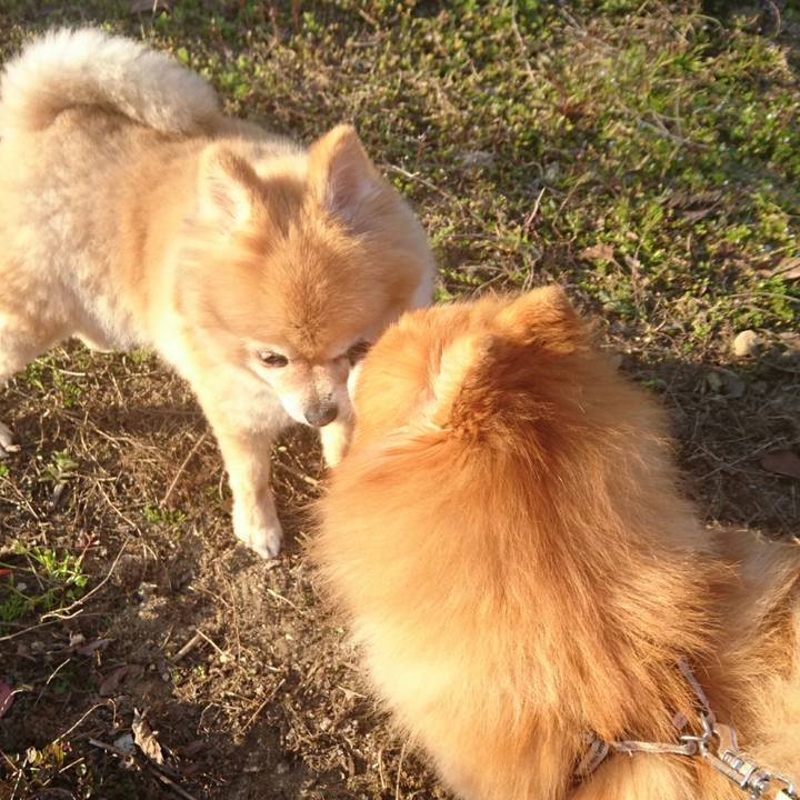 8398d3c3 d22a 4e3b 8ed1 5504c7decc05