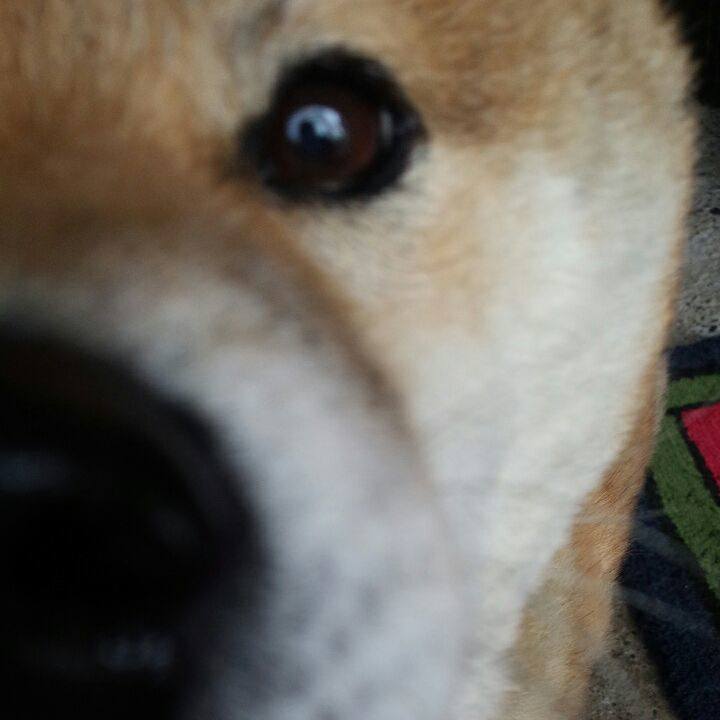 8398f9cd edbd 4c80 8861 8daf4b56609c