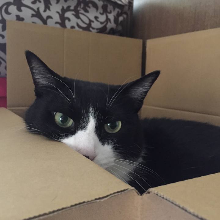 8399e435 f4f1 41ee 8134 18ea7be53931