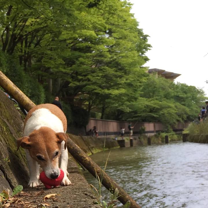 839a3632 0c7c 4978 b7f7 fc98cc2a45db