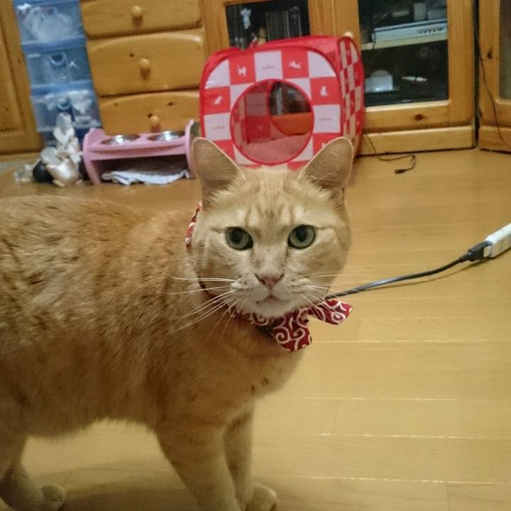 839a9038 0228 4800 8bd1 b56ff46fcf65