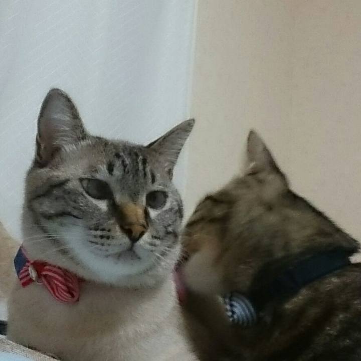 839ae027 1f38 4662 86c8 d35433f00833