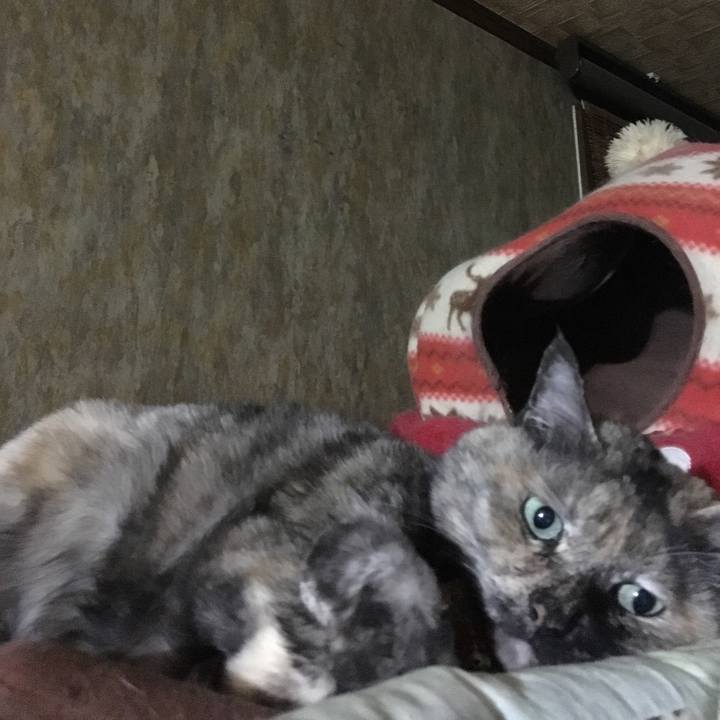 839afd89 4146 4a77 8f58 a490249b0dd6