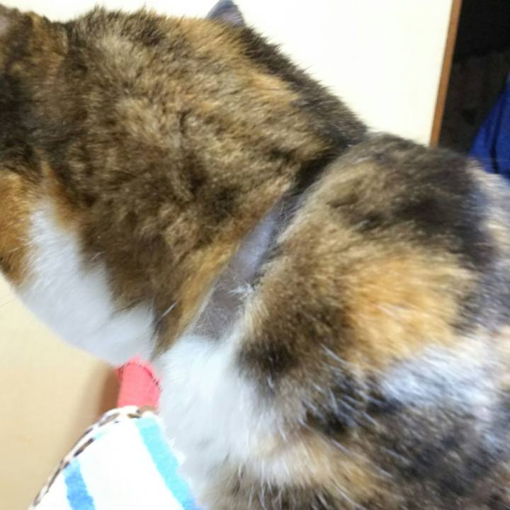 839b4b86 eb86 4502 8f01 96e91d151962