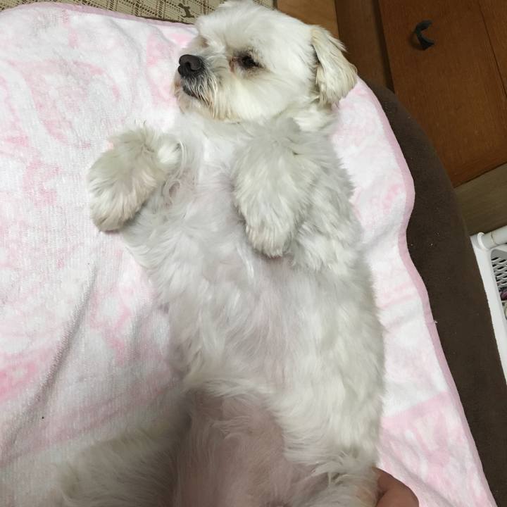 839cf53b 459c 4fdb abb5 1366c262bace