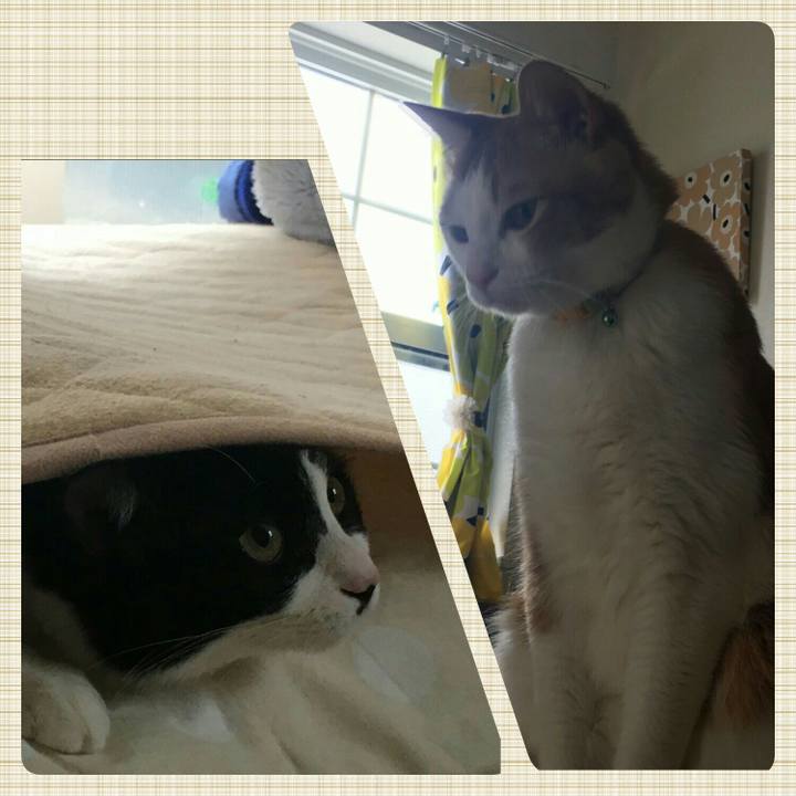 839e4d02 178f 4113 b741 d073ef5760a9