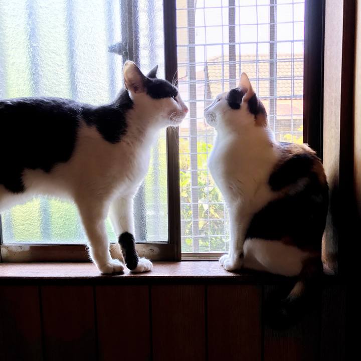 839e4eba e7f2 4432 ac90 070350991eb5