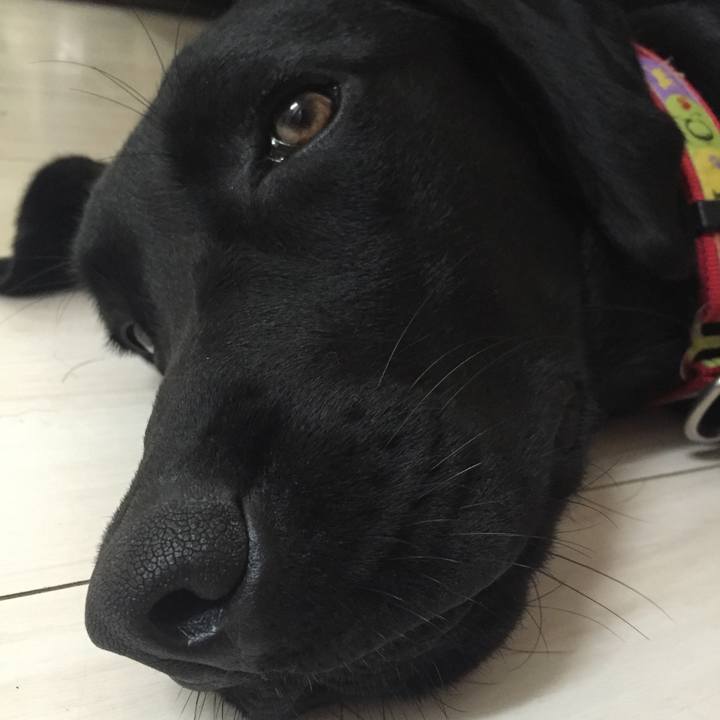 839f1b3f e314 47a0 81ca cb7109e44b32