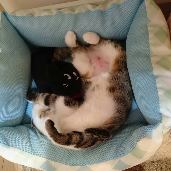 839f4479 3c96 4909 ba0c 1206aa8284df