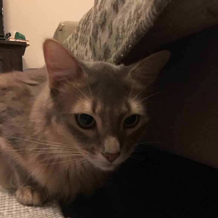 839f4ea4 a371 4a35 b456 b6a9e7fcec34