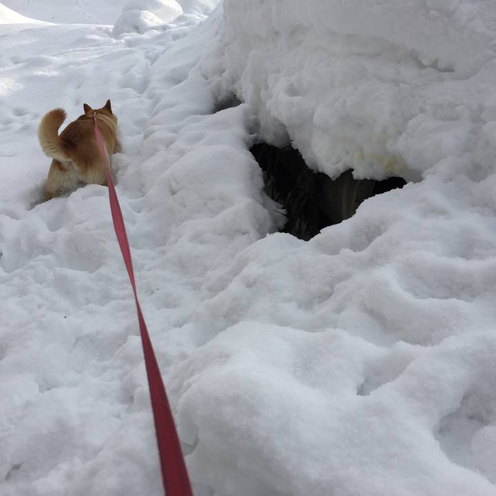 83a0041b 6645 4b5c 8a86 0ab6643f645f