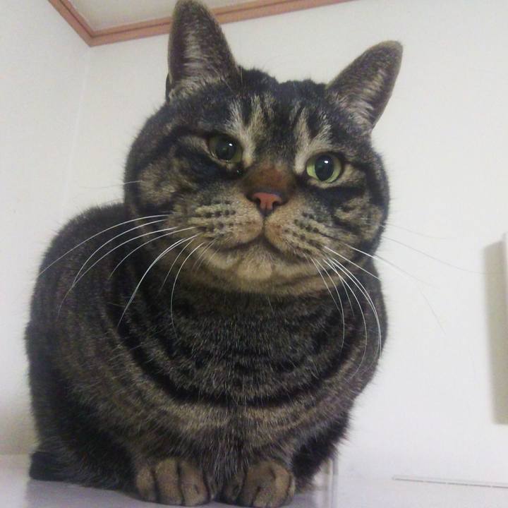 83a02404 86c4 4ab9 ac96 471d600689a8