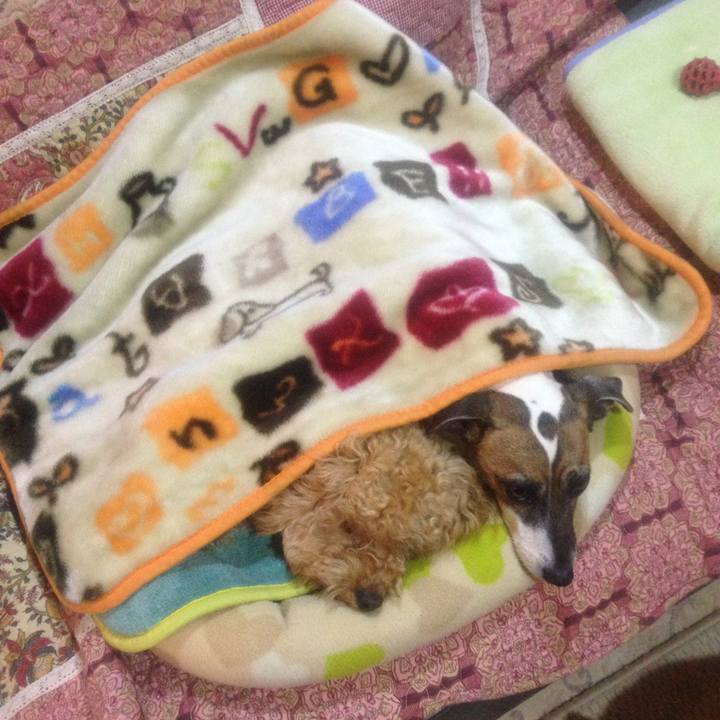 83a0f808 302b 4949 bb42 4a57bb5e3c46