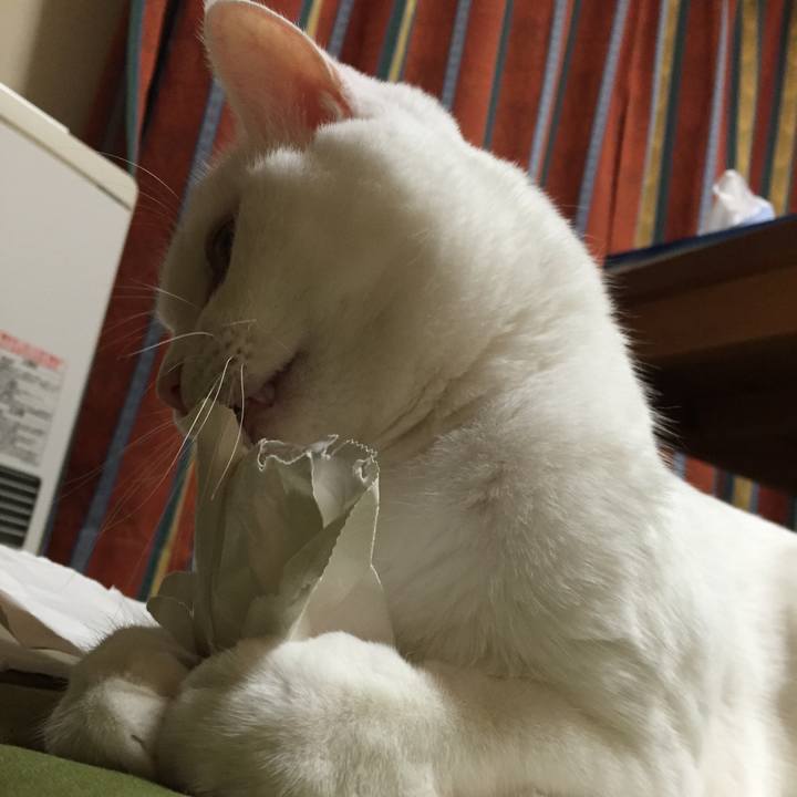 83a2040e 837a 4b2a b826 c3d4b473e915