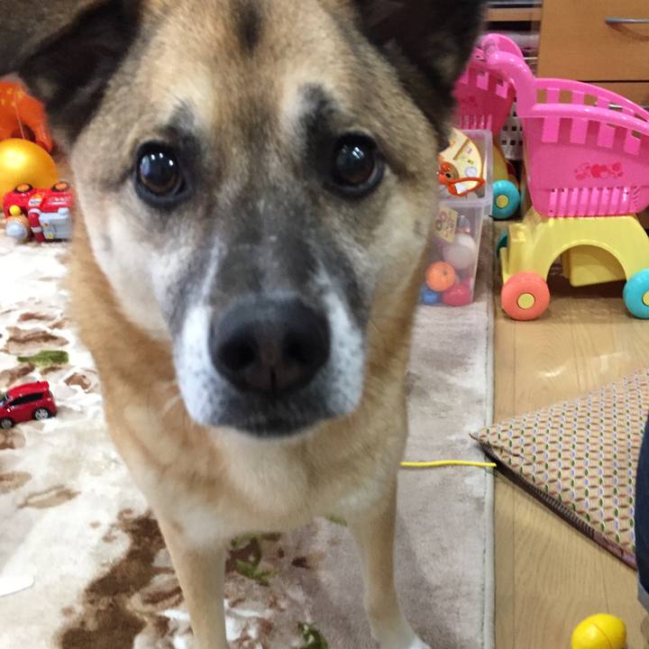 83a20d0d 7337 46e7 b978 a603828bd750