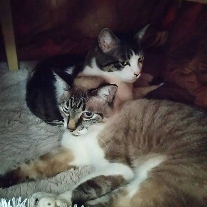 83a2358b 90cd 4fc6 9844 36bd1626ea48