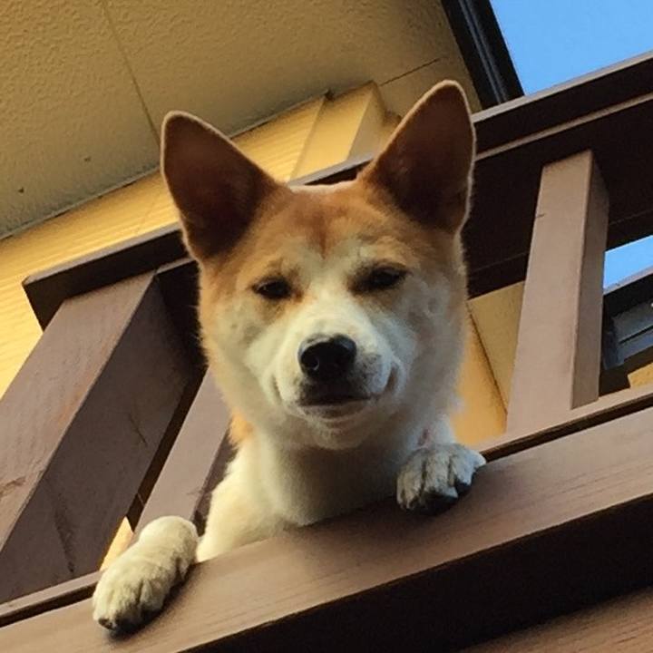 83a23a6a ae4b 423a bdd4 ae8a98392b2e