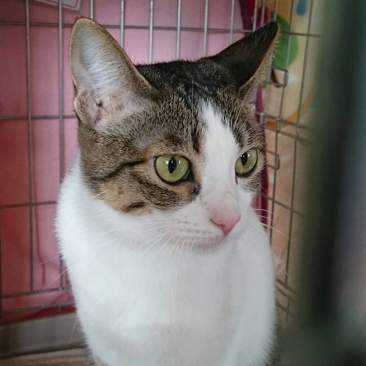 83a2597f a9d2 44f5 9047 93080499a4e5