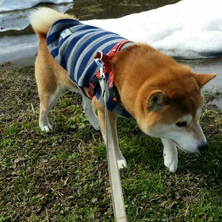 83a2664b 9403 4ad0 b945 673a713e21c2