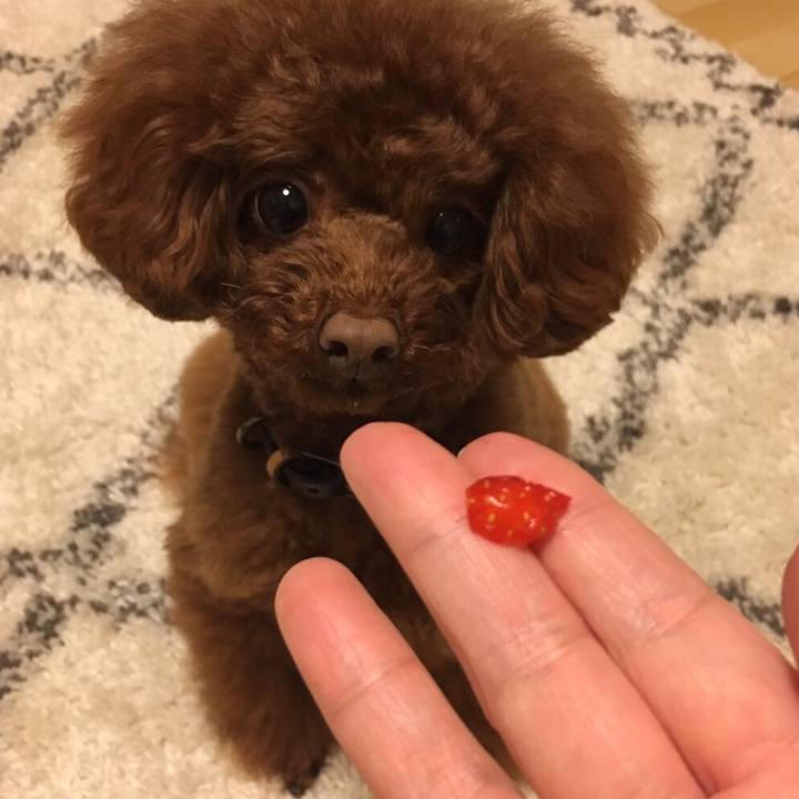 83a2955f 66a2 44a5 aaa1 a6754f369f10