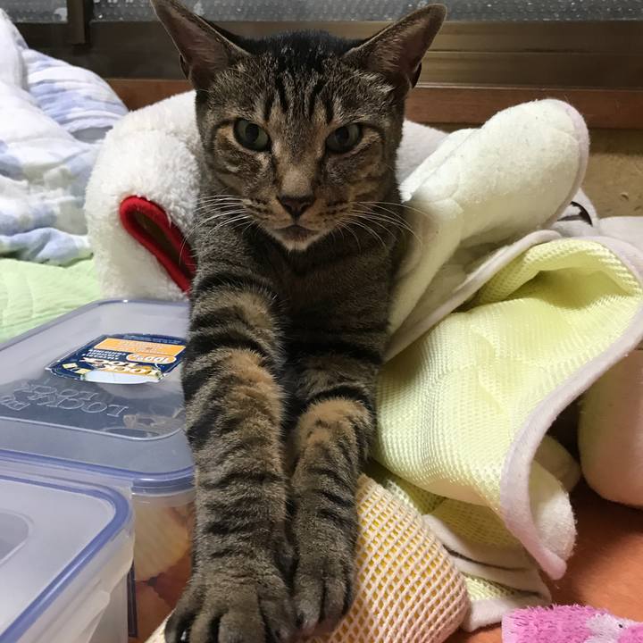 83a33647 1b56 4af5 8594 50caf8a1e1ab