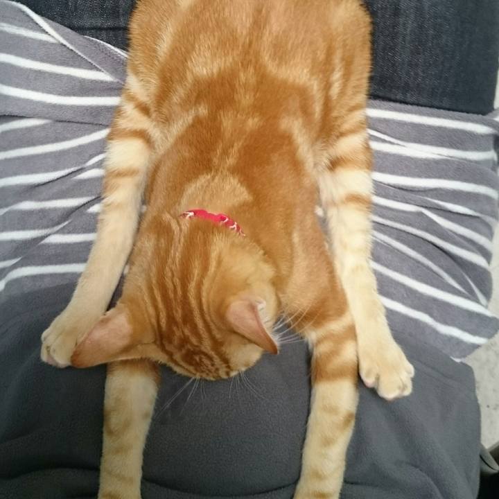 83a3d4ae b0de 4bee 9f4a 34fbbbea0fcc