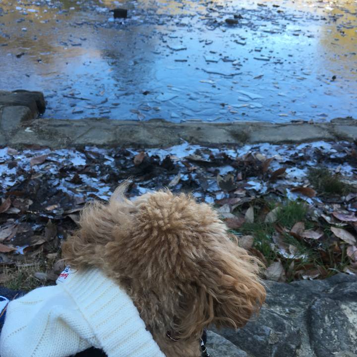 83a3ef26 90d3 4635 bb71 2d5b2e8cc263