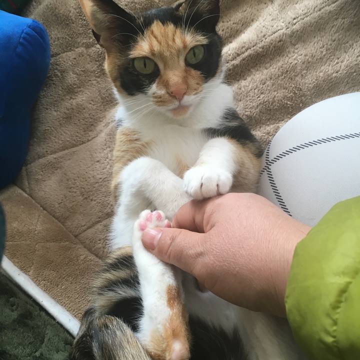 83a41cbc 1f08 407a 8ad0 229f4f451afd