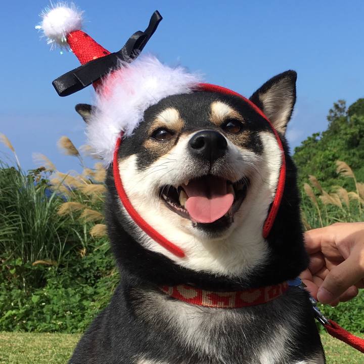 83a470ce 3fc9 4373 9f7a 10ea3960b1a9