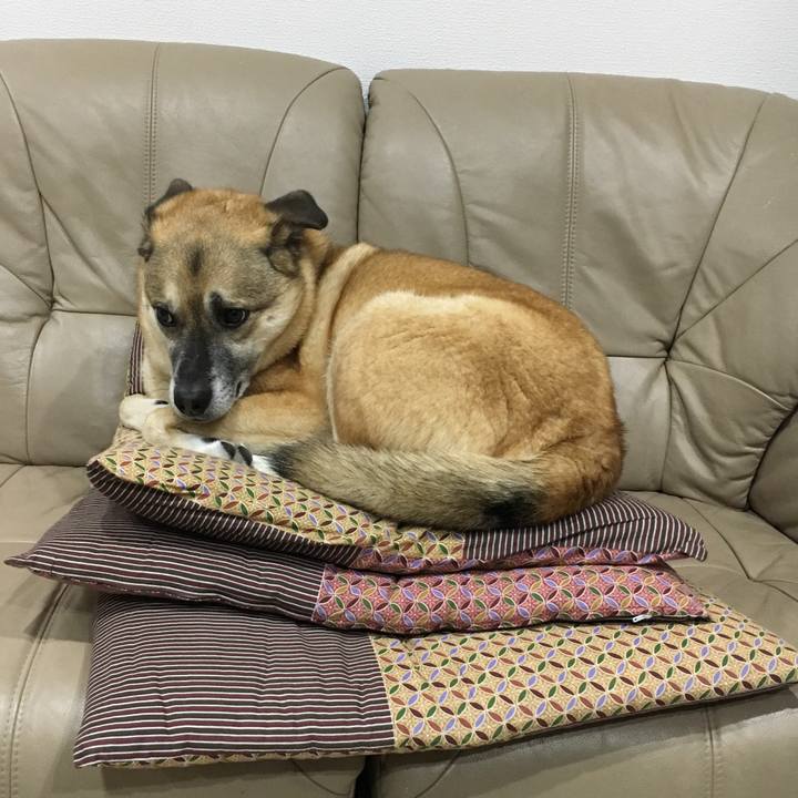 83a5ab4b a10a 4495 b1e0 20a1bb589baa