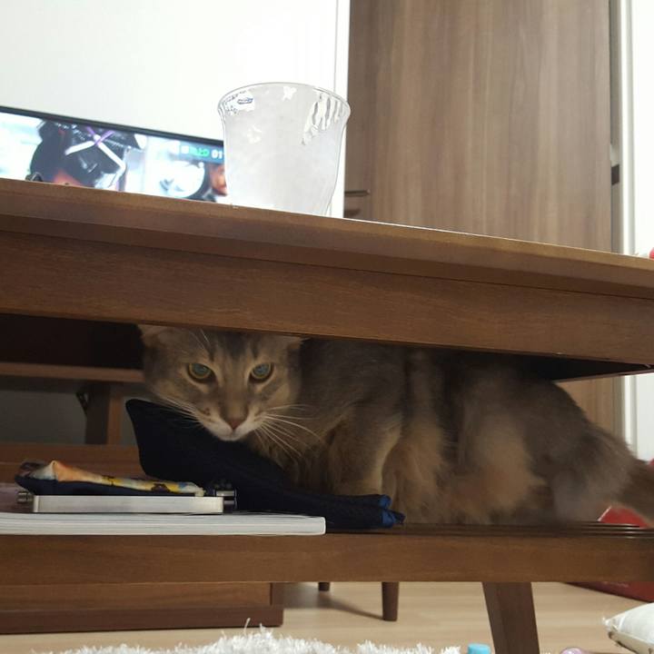 83a62b1f 6164 4717 b22d 64b74b6d6486